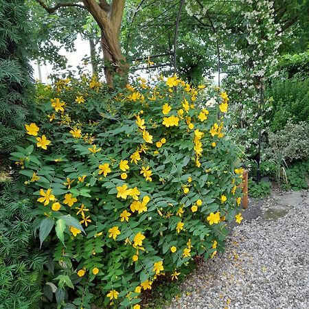 B&B La Quercia Di Mery La Villa  ภายนอก รูปภาพ